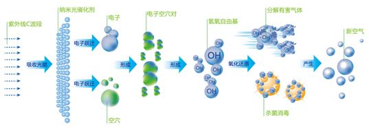 1597112224116566.jpg 02.jpg